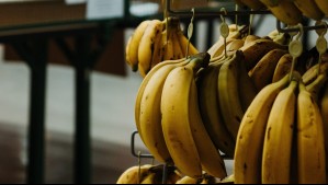 Solo quería un plátano: hombre halla a la araña más grande del mundo en su compra del supermercado