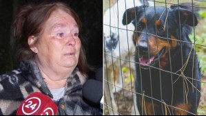 'Se le dijo que los perros eran bravos': Habla tía de mujer que murió atacada por jauría cuando iba a buscar a sus hijos