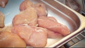 Gripe aviar: Los efectos negativos que la OPS teme sobre la producción de pollo en Sudamérica