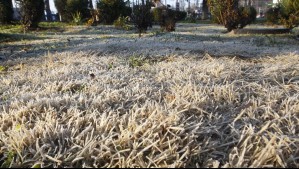 Meteorología emite advertencia agrometeorológica por 'heladas' en 6 regiones del país