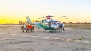 Rescatan en helicóptero a adulto mayor accidentado en una quebrada en Viña del Mar