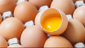Experta revela truco para saber si un huevo está malo sin tener que abrirlo