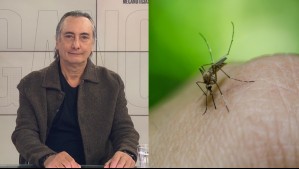 'El mosquito ya está presente en la Metropolitana': Doctor Artaza se refiere al peligro del Dengue en Chile