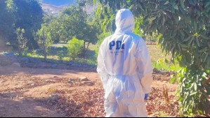 Hombre ingresa a propiedad privada y muere baleado: Dueño le habría disparado con un rifle