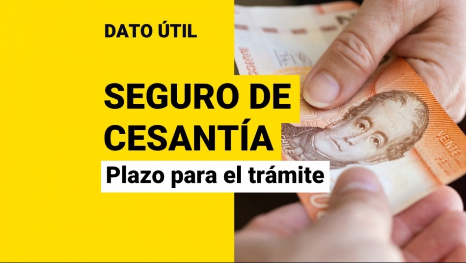 Seguro de Cesantía ¿Cuánto tiempo tengo para realizar el trámite