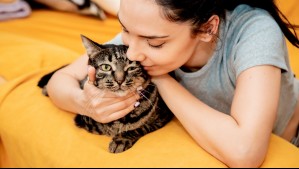 Para que seas 'el encantador de gatos': Este es el método infalible para llamar a los 'michis', según investigación