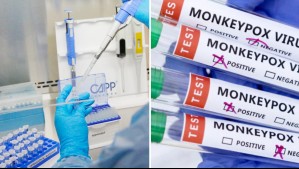 La OMS levanta la alerta máxima mundial por epidemia de Viruela del Mono