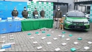 Del puerto de San Antonio a Ámsterdam: Desbaratan a banda que buscaba enviar droga a Europa