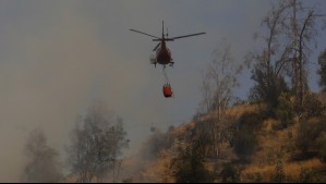 Suben a 366 las hectáreas afectadas por incendio en Papudo y Zapallar