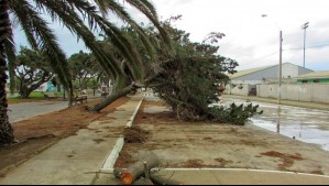 Meteorología emite aviso de 'viento' en zonas de cinco regiones del país