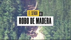 El señor del robo de madera: El millonario negocio de peligrosa banda armada en La Araucanía