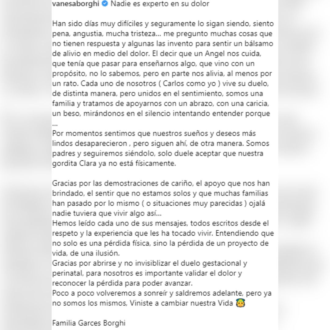 Declaración de Vanesa Borghi