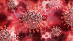 'Va a diezmar a la población': Médico español advierte sobre eventual nueva pandemia más letal que el Covid-19