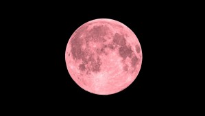 Luna de Fresa 2023: Esta es la fecha en que se podrá ver el fenómeno