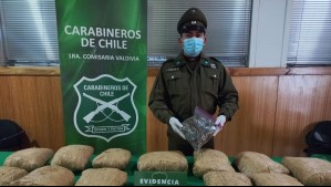 Detienen a sujeto que transportaba más de 130 millones de pesos en marihuana en Valdivia: Manejaba en estado de ebriedad