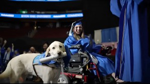 La acompañó a todas las clases: Perro de servicio recibe diploma en graduación de su dueña en Estados Unidos