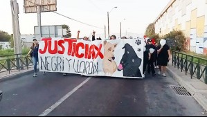 Universidad desvincula a funcionarios y suspende a vicerrector por denuncia de perros asesinados para clase en La Serena