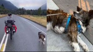 'Fue una conexión instantánea': Mochilera estadounidense adoptó a perrita callejera que la acompañó en la Patagonia