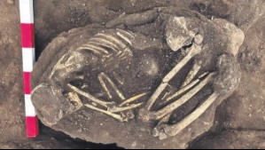 Encuentran restos de más de 1.000 años en construcción de viviendas sociales en Colina