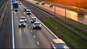 Conductor chocó a caballo en la carretera y la autopista deberá pagarle $7,5 millones