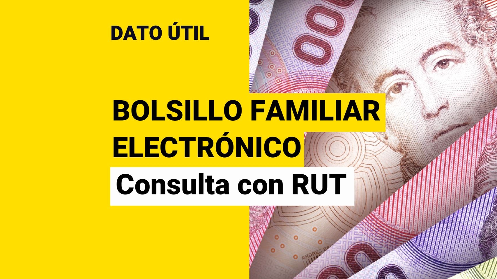 Bolsillo Familiar Electrónico: Revisa Con Tu RUT Si Lo Recibes En Junio ...