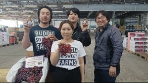 La historia del chileno que llegó 'de descarte' a Australia y ahora cautiva al mercado japonés con uvas de mesa