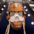 Las tumbas contienen huesos de \\\'Homo naledi\\\', primos lejanos del hombre, con un cerebro del tamaño de una naranja. Su hallazgo por Lee Berger en 2013 había cuestionado algunas teorías sobre la evolución.