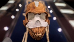 Descubren las primeras tumbas de la prehistoria con restos de huesos de 'Homo naledi'