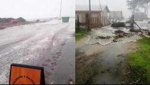 Videos muestran estragos generados por inundación en Coelemu