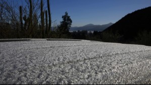 Meteorología emite advertencia por heladas en la zona central: Temperatura bajaría hasta -3° C en la RM