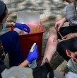 Según datos de los Centros de Control para la Prevención de Enfermedades (CDC, por sus siglas en inglés) el número de sobredosis mortales que contenían xilacina pasó de 260 en 2018 a 3.480 en 2021.