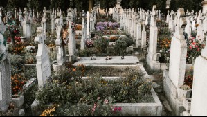 Ciudad de Roma es multada por poner nombres de mujeres que abortaron en tumbas de fetos