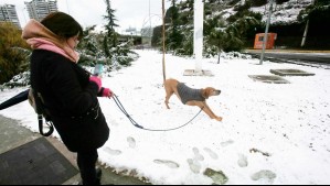 Fin de semana largo con nieve: Conoce las zonas donde se esperan nevadas