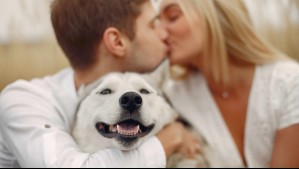 Con mascotas, pero sin niños: Polémica invitación a supuesto matrimonio se hace viral en redes sociales
