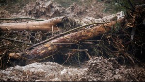 Voluntario de Bomberos se encuentra desaparecido tras ser arrastrado por corriente del río Ancoa en Linares