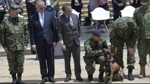 Colombia condecora a rescatistas de niños perdidos en la selva: General llama a honrar 'memoria' del perro Wilson