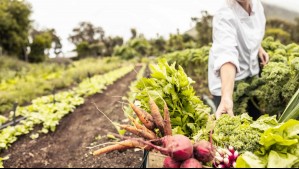 Gobierno declara emergencia agrícola entre Valparaíso y Biobío por sistema frontal
