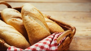 Empresa de alimentos instalará una planta en Chile: Este es el novedoso producto que elaborará