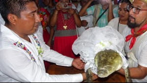 'Nos queremos': Así fue la boda entre un alcalde mexicano con un caimán hembra en ritual ancestral