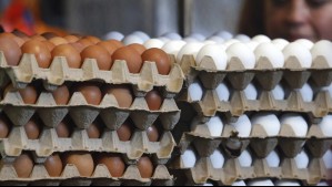 Carabineros incauta en Quillagua más de 42 mil huevos contrabandeados desde Bolivia
