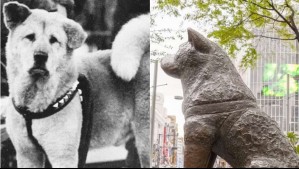 Hachiko: el perro más leal del mundo hoy cumpliría 100 años