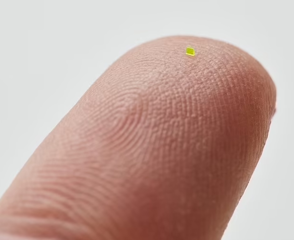 Bolso más pequeño del mundo / Daily Mail