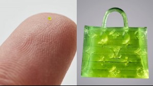 Bolso más pequeño que un grano de sal se vendió a un increíble precio: Este es el millonario monto