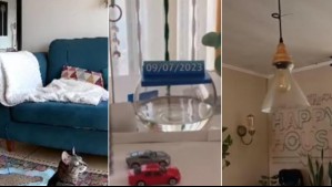 Temblor en la zona central del país: Mira los registros que quedaron grabados