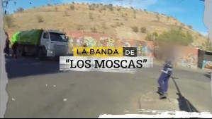 La banda de 'Los Moscas': Organización asaltaba camiones de basura para robar alimentos vencidos