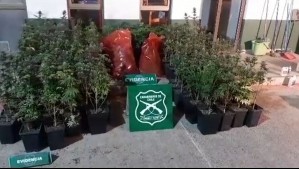Carabineros desbarata laboratorio de producción de droga en Pirque: Fue tras llamado por violencia intrafamiliar