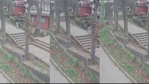 Video muestra a joven que empujó por las escaleras a adulto mayor en Lota