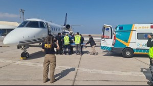 Camionero herido a bala en Bolivia llega a Antofagasta vía aérea