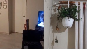 Fuerte sismo se sintió desde región de Valparaíso hasta Los Lagos: Revisa los registros del temblor