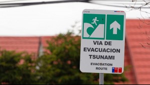 'Las personas lo sintieron como dos temblores': Experto explica por qué el sismo del domingo se sintió con dos remezones